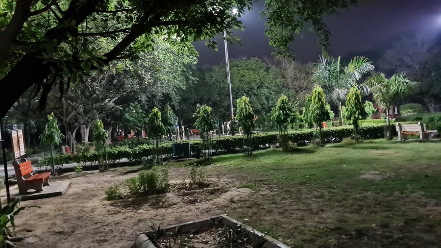 Japanese Park at night with benches and trees
